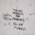 For All Intents and Purposes You are Perfect